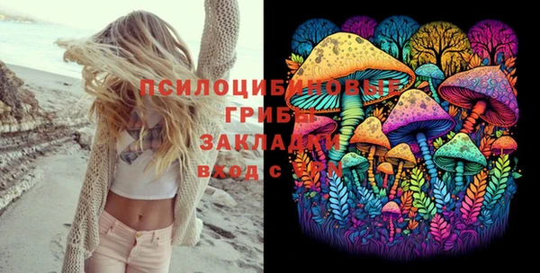 ГАЛЛЮЦИНОГЕННЫЕ ГРИБЫ Алексин