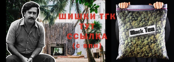 дмт Осинники