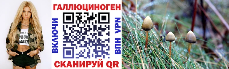 Галлюциногенные грибы GOLDEN TEACHER  купить   Отрадная 